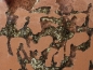 Preview: soil - sand loam mixture red - 200g